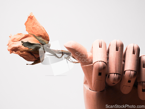 Image of Wooden hand with a rose