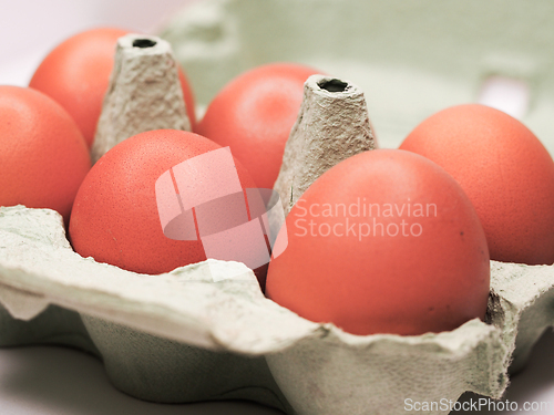 Image of Eggs in a carton