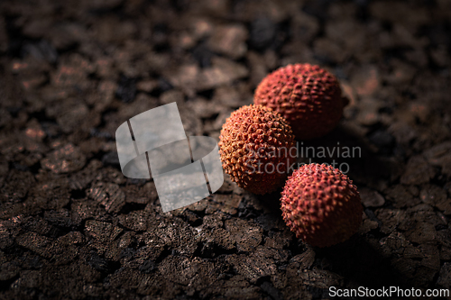 Image of Three fresh lychees