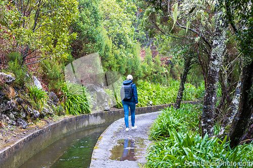 Image of beautiful Madeira landscape