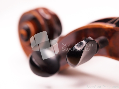 Image of Peg on a violin