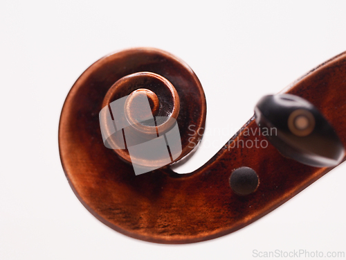 Image of Violin scroll