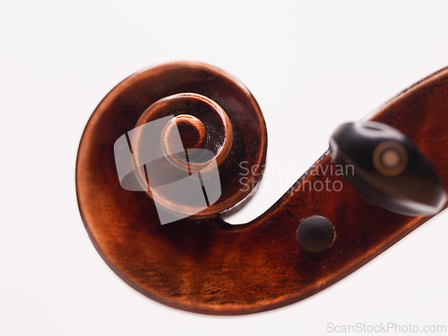 Image of Violin scroll