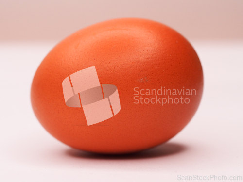Image of An Egg