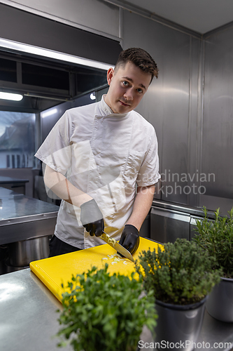 Image of Chef slicing vegetables