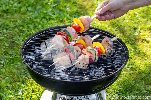Image of chicken meat and vegetable skewers