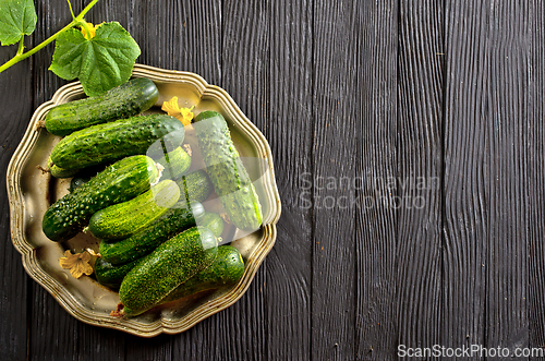 Image of Fresh and healthy organic cucumbers served on metal plate.