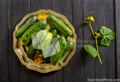 Image of Fresh and healthy organic cucumbers served on metal plate.