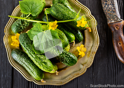 Image of Fresh and healthy organic cucumbers served on metal plate.