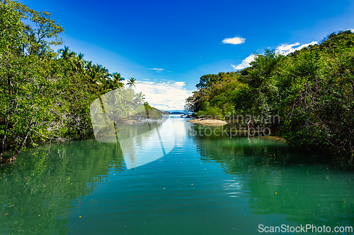 Image of Playa in Curu Wildlife Reserve, Costa Rica wildlife.