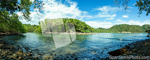 Image of Playa in Curu Wildlife Reserve, Costa Rica wildlife.