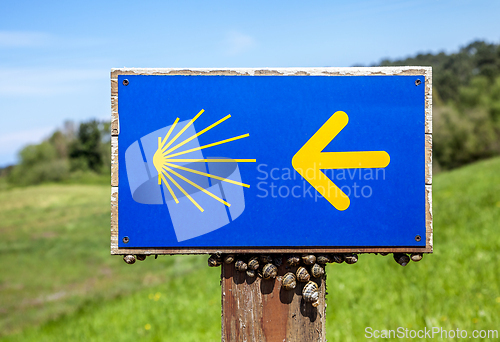 Image of Road sign of Camino de Santiago