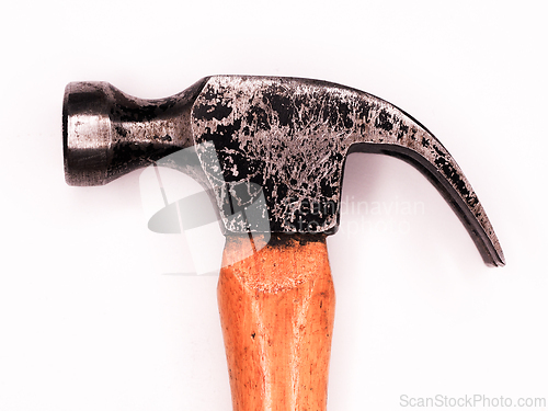 Image of Hammer Head