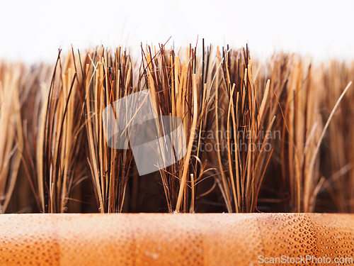 Image of Bristles on a brush