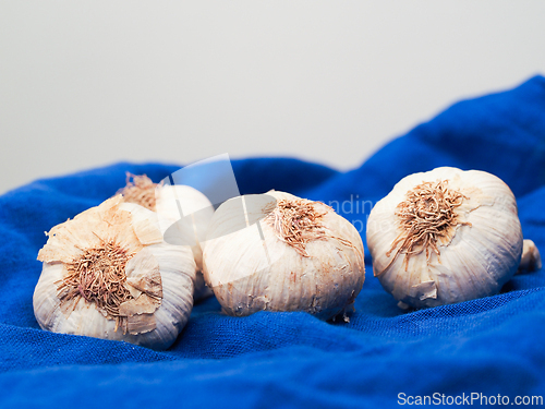 Image of Garlic