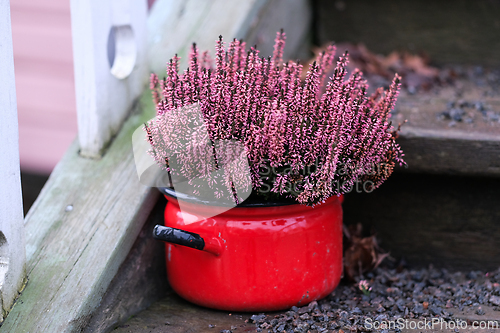 Image of A pot with flowers on stairs