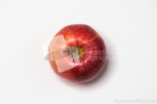 Image of A single apple