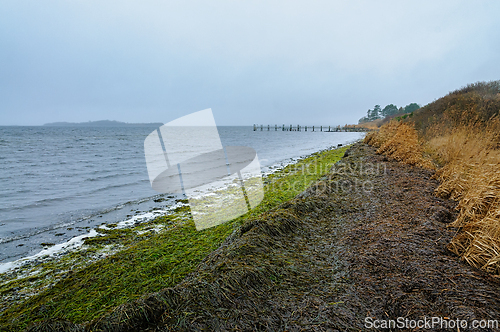 Image of Calm waters beside a grassy shore during a misty afternoon on th