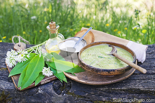 Image of Wild garlic ramson