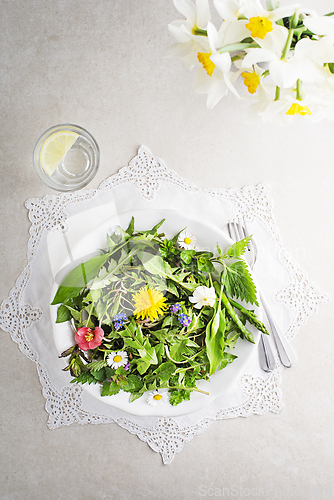 Image of Spring salad plants and herbs 
