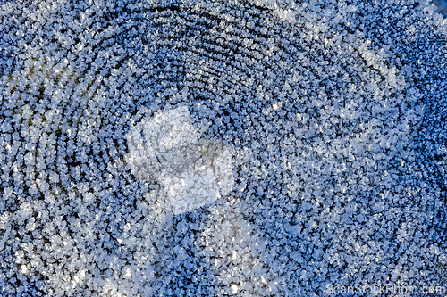 Image of Intricate patterns of frost create a mesmerizing winter landscap