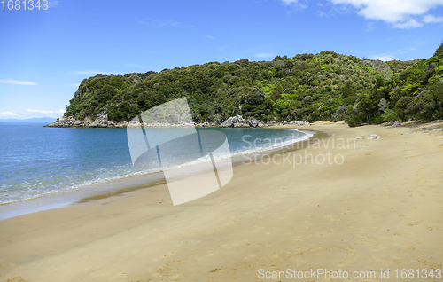 Image of beach at Abel Tasman National Park