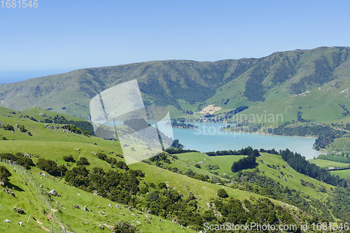 Image of Around Akaroa in New Zealand