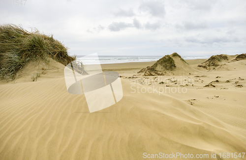 Image of Ninety Mile Beach