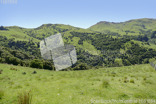 Image of Around Akaroa in New Zealand