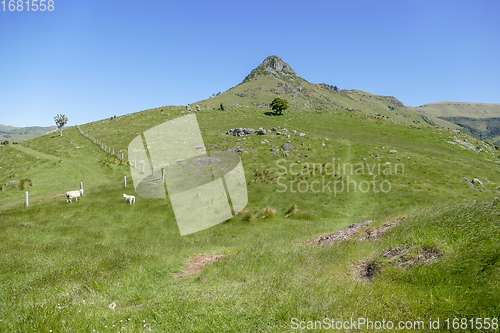 Image of Around Akaroa in New Zealand