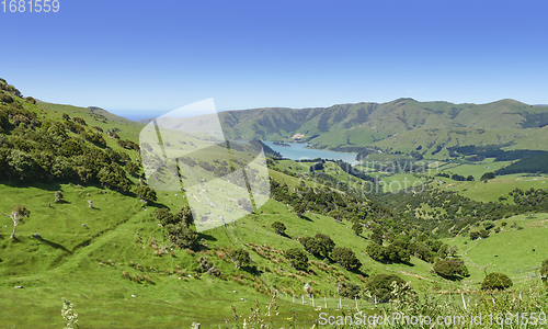 Image of Around Akaroa in New Zealand