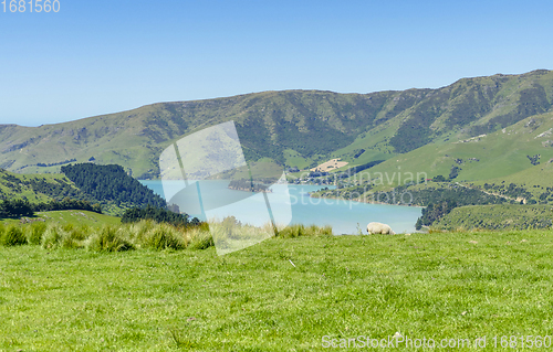 Image of Around Akaroa in New Zealand