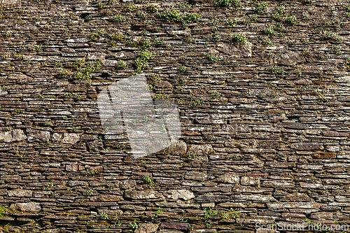 Image of Stone wall with green moss