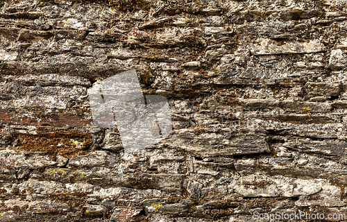 Image of Stone wall with green moss
