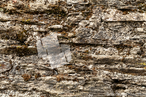 Image of Stone wall with green moss