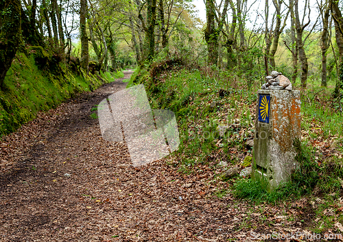 Image of Road sign of Camino de Santiago