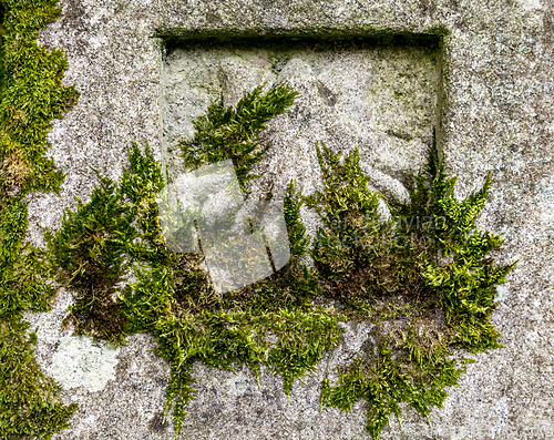 Image of Road sign of Camino de Santiago