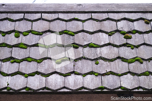 Image of Roof with moss