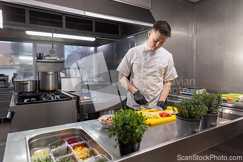Image of Chef slicing fresh vegetables