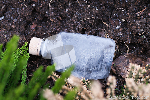 Image of Bottle on the ground