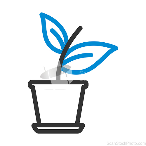 Image of Plant In Flower Pot Icon