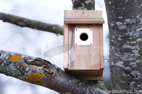 Image of Bird House