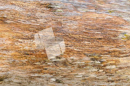 Image of Detailed texture of aged wood displaying natural patterns, color
