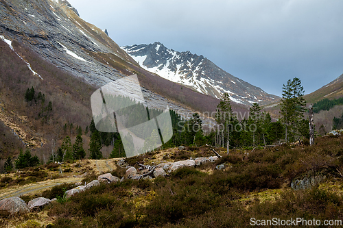 Image of Majestic mountains surround a serene valley with lush pine trees