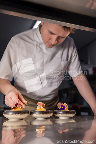 Image of Chef garnishing gourmet dishes