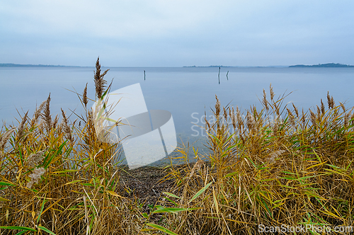 Image of Calm waters reflect overcast sky with golden reeds lining the sh