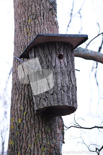Image of Bird House