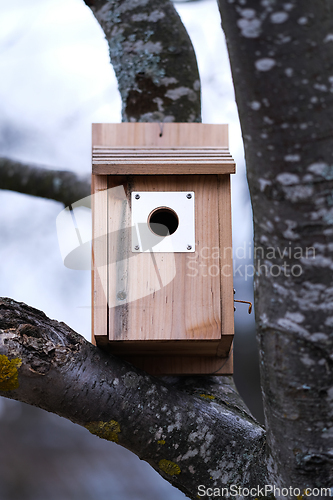 Image of Bird House