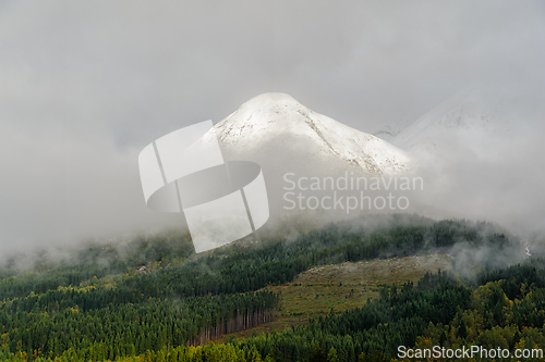 Image of Snow-capped mountain peak emerging from dense fog over lush gree
