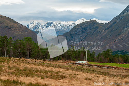 Image of Snow-capped mountains rise majestically over lush fields and pow